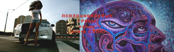 Альфа ПВП Приозерск