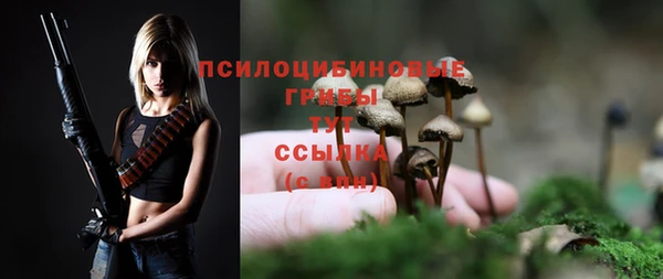 apvp Кедровый