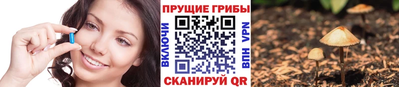 даркнет сайт  Касли  Псилоцибиновые грибы прущие грибы 