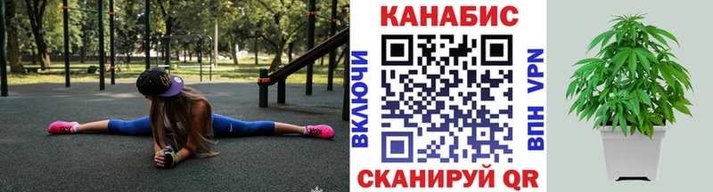 мега ссылки  Касли  Каннабис сатива 